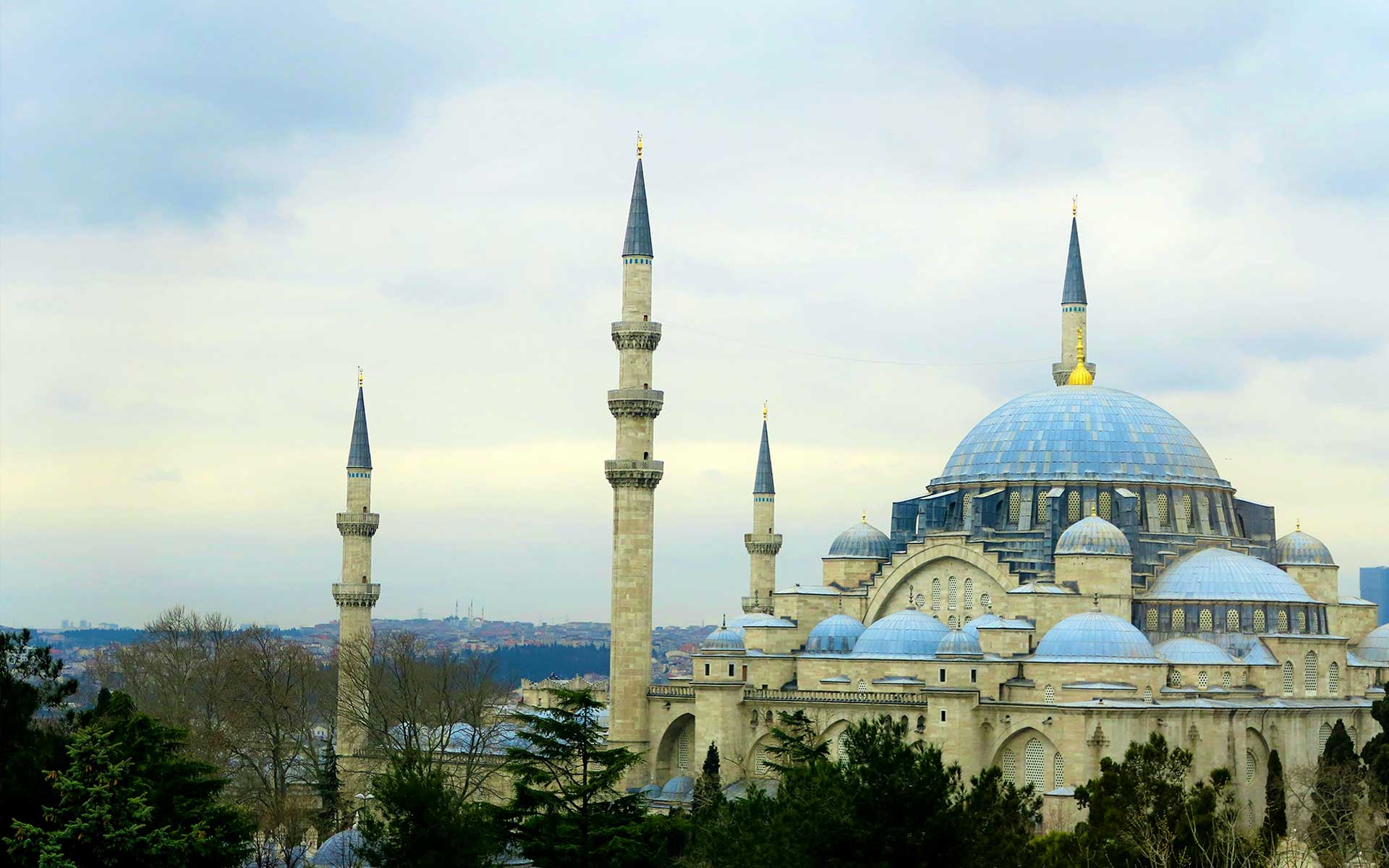 contatti studio legale rass milano roma istanbul